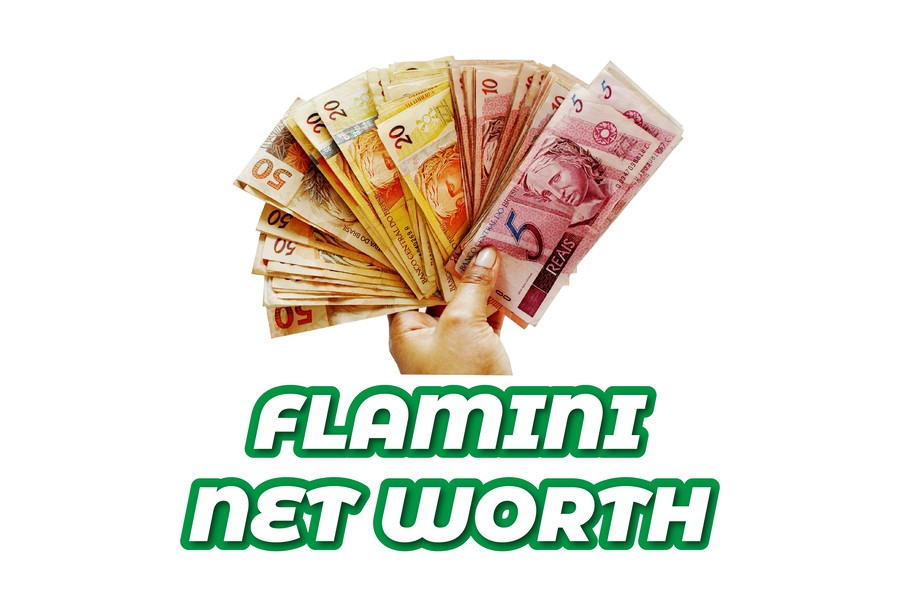 Flamini Net Worth